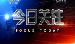 广东电视今日关注爆料,揭秘背后惊人真相